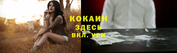 молекула духа Балахна