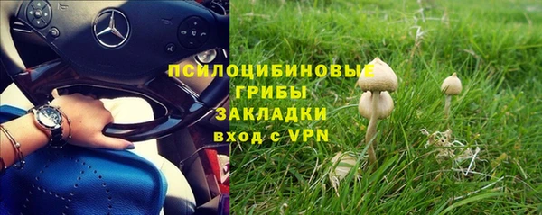 каннабис Арсеньев