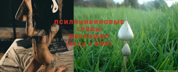 каннабис Арсеньев