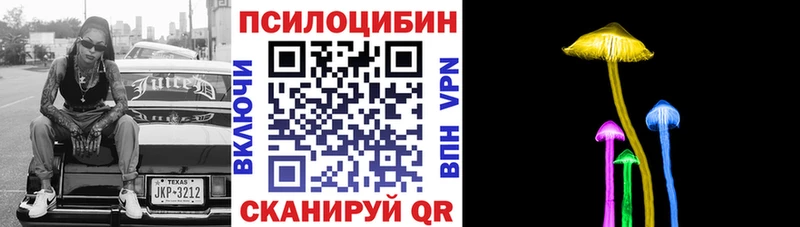 гидра как зайти  даркнет наркотические препараты  Псилоцибиновые грибы мицелий  Белая Холуница 