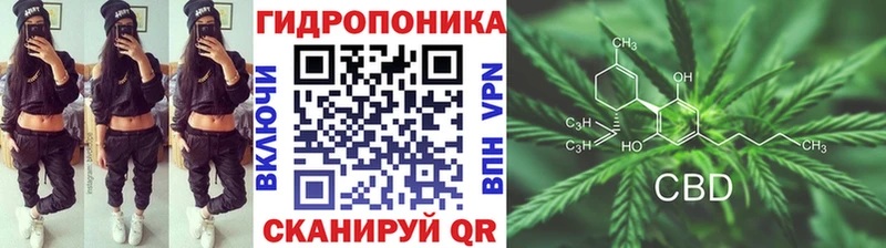 Канабис SATIVA & INDICA  Белая Холуница 